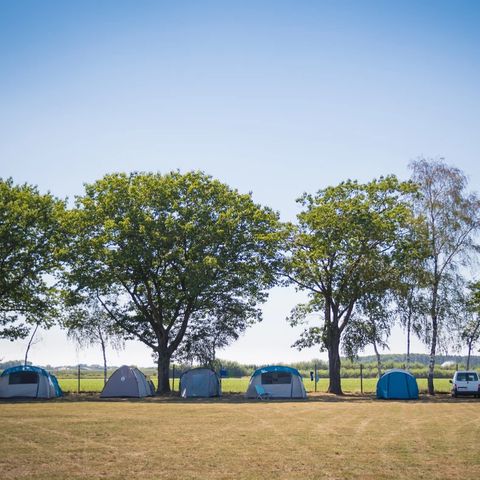 Arden Parks Tulderheyde - Camping Anvers - Image N°6
