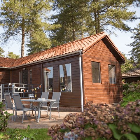 Arden Parks Tulderheyde - Camping Anvers - Image N°2