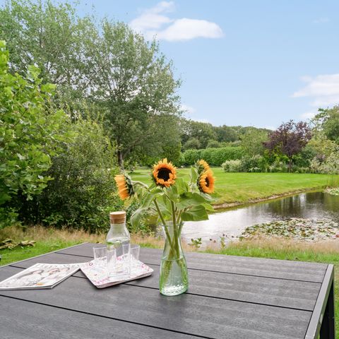 Drentse Vennen - Camping Noordenveld - Image N°4