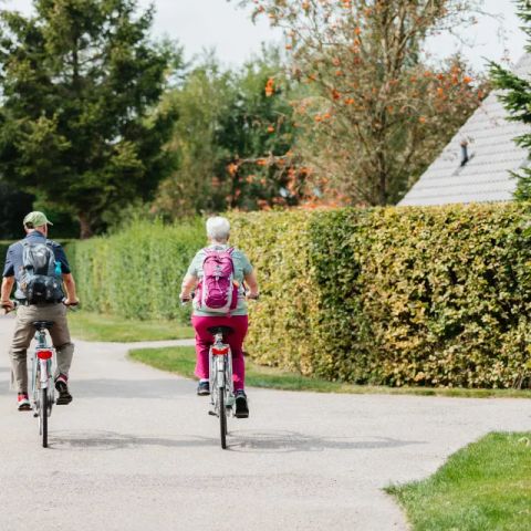 Drentse Vennen - Camping Noordenveld - Image N°5