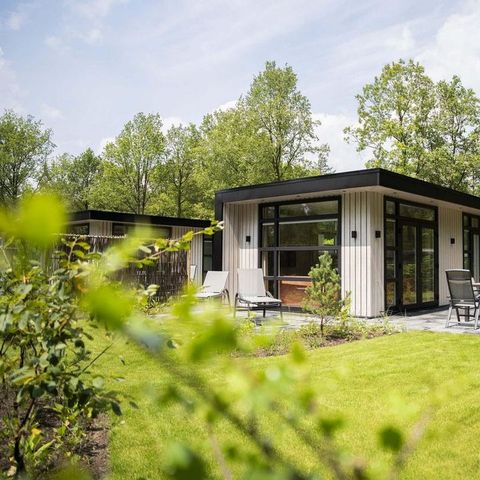 BUNGALOW 4 personnes - Vol en forêt