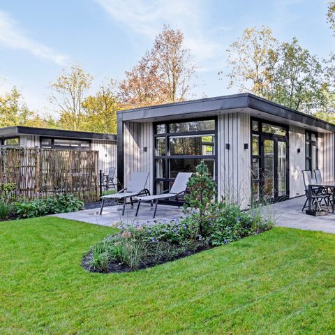 BUNGALOW 6 personnes - Vol en forêt