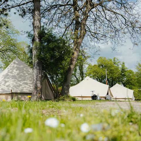 Camping Liefrange - Camping Luxembourg - Image N°3