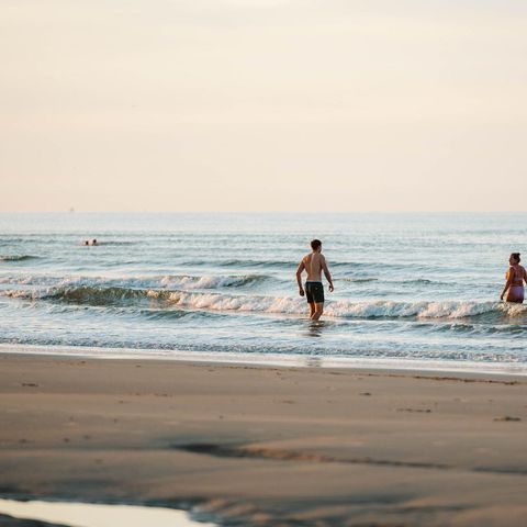 HÉBERGEMENT INSOLITE 4 personnes - Ours Wraphouse