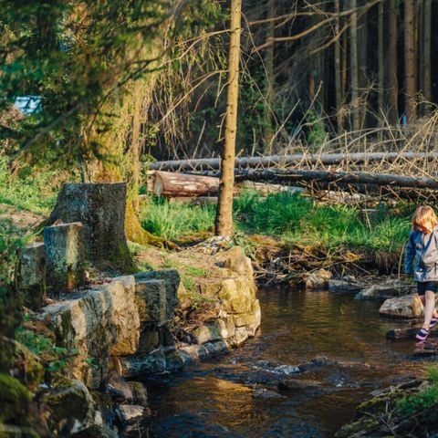 Vodatent Camping Braunlage - Camping Basse-saxe - Image N°2