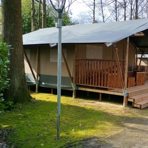 TENTE TOILE ET BOIS 6 personnes