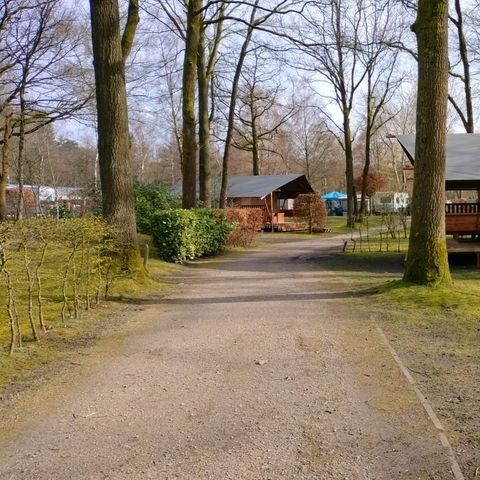 Tente en toile et en bois 6 personnes