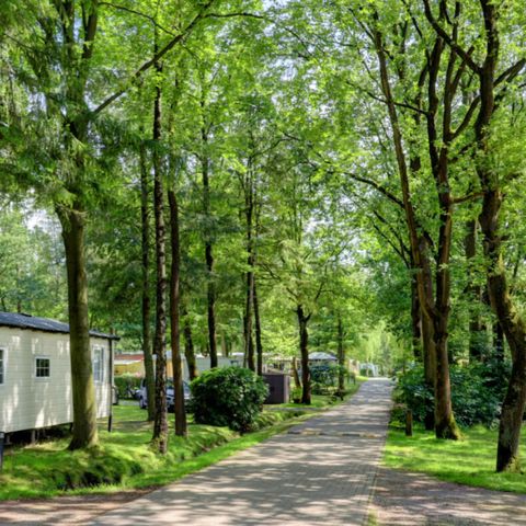 Vodatent Camping het Veen - Camping Flandre Occidentale - Image N°2