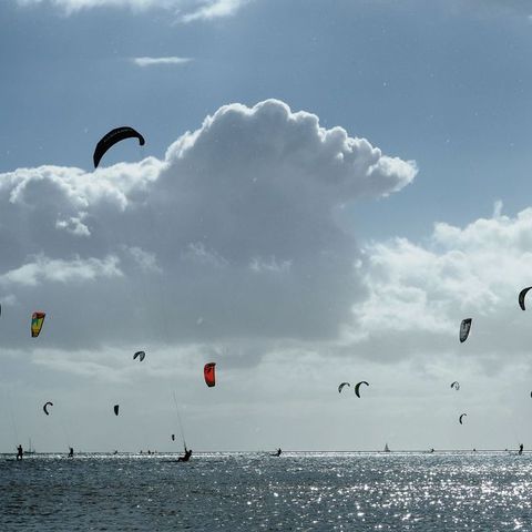 Recreatiepark de Bosrand - Camping Friesische Seen - Image N°6