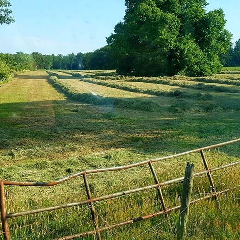 Recreatiepark de Bosrand - Camping Friesische Seen - Image N°5