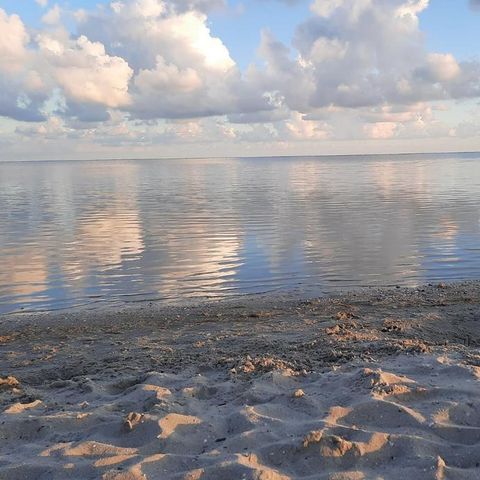 Recreatiepark de Bosrand - Camping Friesische Seen - Image N°4