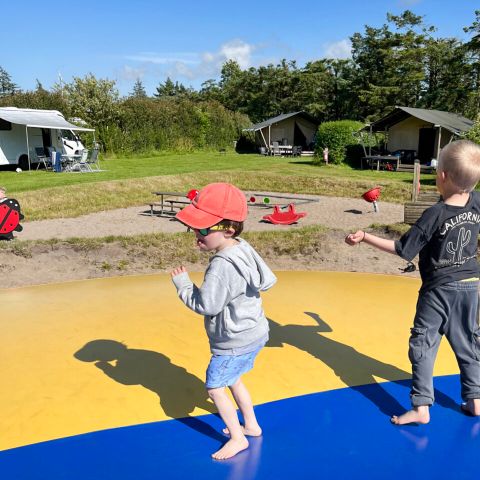 Vodatent Ballum Camping - Camping Danemark du Sud - Image N°5