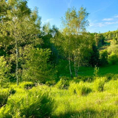 Vodatent Tolne Camping - Camping North Jutland - Image N°6