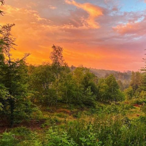 Vodatent Tolne Camping - Camping North Jutland - Image N°3