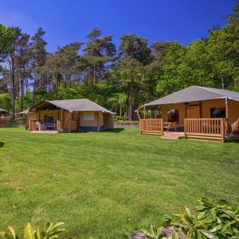 Vodatent Landgoed 't Wildryck - Camping Westerveld - Image N°2