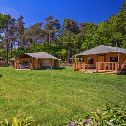 TENTE TOILE ET BOIS 6 personnes - y compris les installations sanitaires