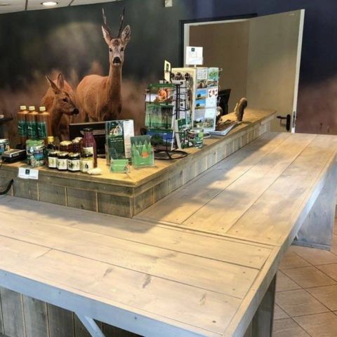 Vodatent Landgoed 't Wildryck - Camping Westerveld - Image N°6