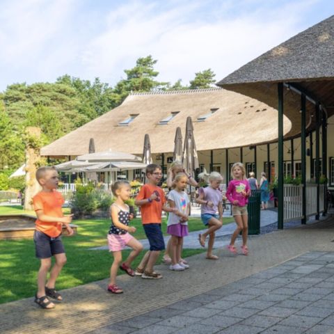 Vodatent Landgoed 't Wildryck - Camping Westerveld - Image N°3