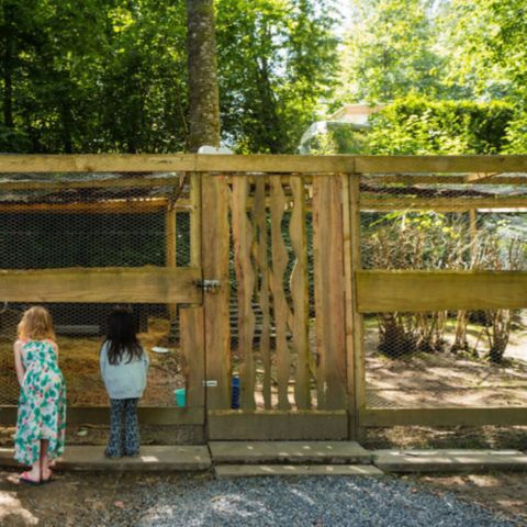 Vodatent Camping De Chênefleur - Camping Luxembourg - Image N°4