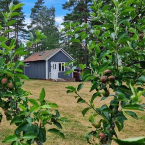 Vodatent Smaland Miniglamping - Camping Kalmar - Image N°6