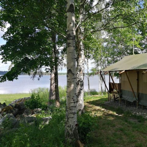 TENTE TOILE ET BOIS 6 personnes