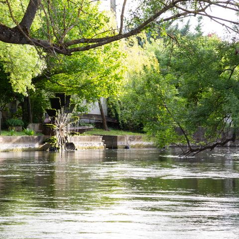 SOWELL - Domaine de la petite Isle - Luberon - Camping Vaucluse - Image N°6