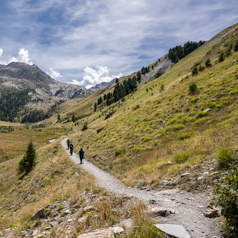 SOWELL - Marmotel & Spa - Camping Alpes-de-Haute-Provence - Image N°3