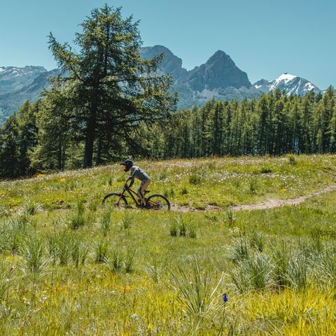 SOWELL - Marmotel & Spa - Camping Alpes-de-Haute-Provence - Image N°2