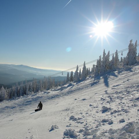 Landal Arber - Camping Bavière - Image N°4