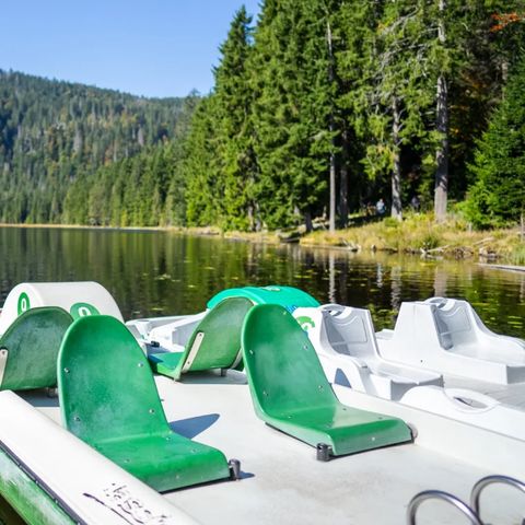 Landal Arber - Camping Bavière - Image N°3