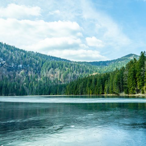 Landal Arber - Camping Bavière - Image N°6