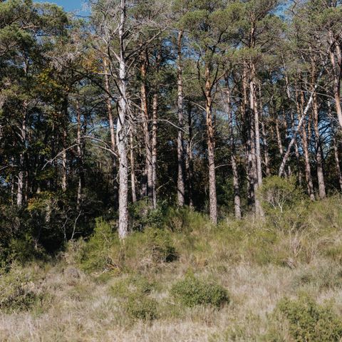 Emplacement - Emplacement Confort