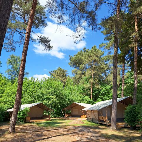 Tente en toile et en bois 4 personnes - Tente safari