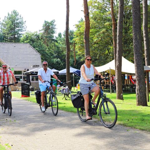 Camping Kempen - Camping Flandre Occidentale - Image N°2