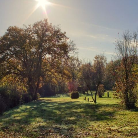 Vodatent Camping le Roptai - Camping Namur - Image N°6