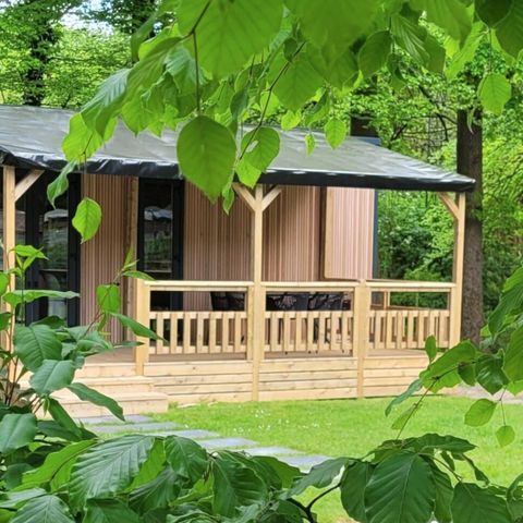 Boscamping Appelscha - Camping Ooststellingwerf - Image N°2