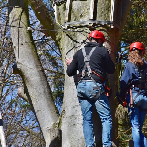 Boscamping Appelscha - Camping Ooststellingwerf - Image N°5