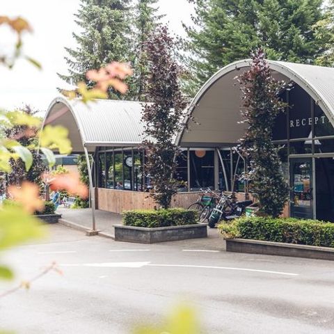 Veluwepark de Bosgraaf - Camping Apeldoorn - Image N°5