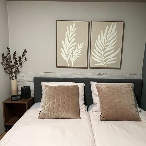 CHALET 6 personnes - Veluwe