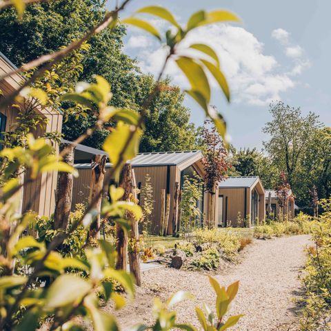 HÉBERGEMENT INSOLITE 4 personnes - Tiny Lodge