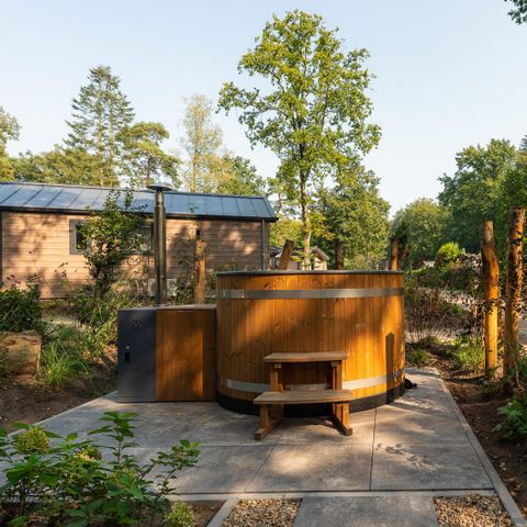 Veluwepark de Bosgraaf - Camping Apeldoorn - Image N°3