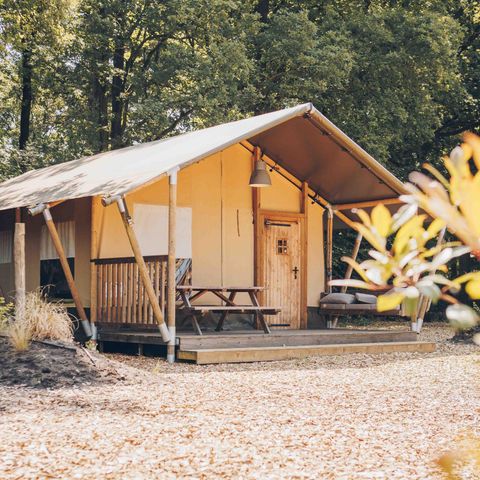 Veluwepark de Bosgraaf - Camping Apeldoorn - Image N°4