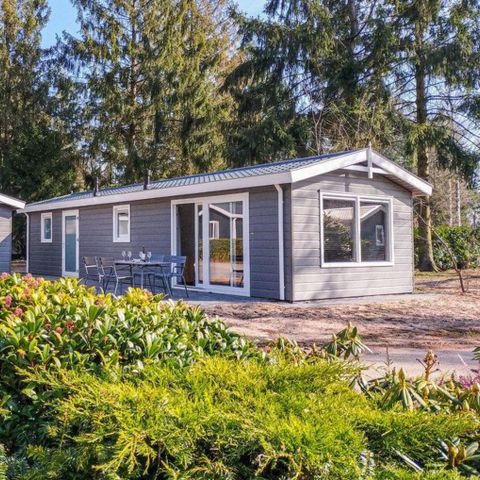 CHALET 4 personnes - Chouette hulotte