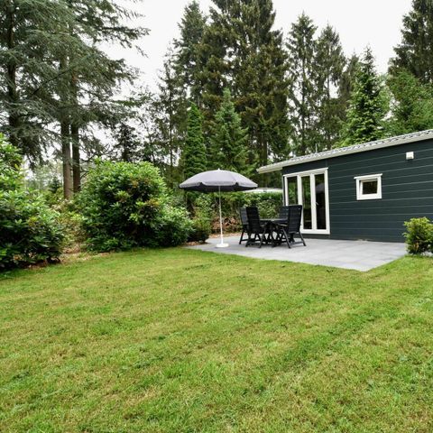 CHALET 4 personnes - Vue de la forêt