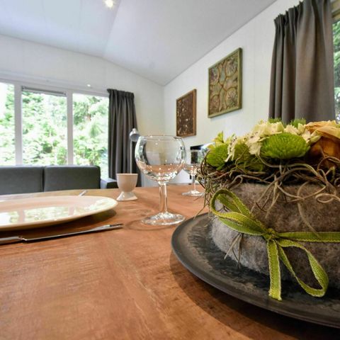 CHALET 4 personnes - Vue de la forêt