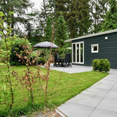 CHALET 4 personnes - Vue de la forêt