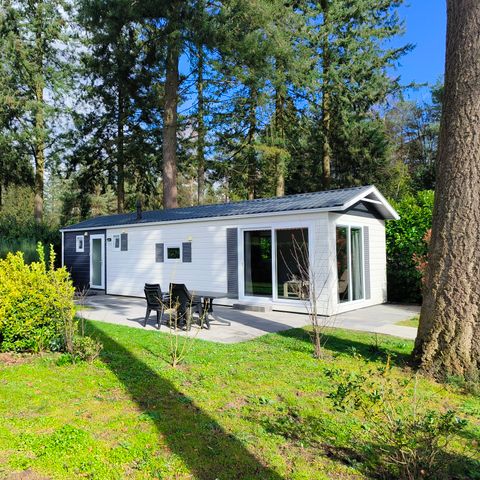 Recreatiepark De Reehorst - Camping Bronckhorst - Image N°4