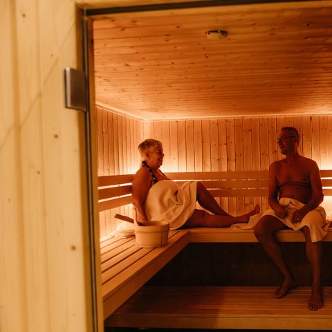 Landgoed Het Grote Zand - Camping Mitte-Drenthe - Image N°3