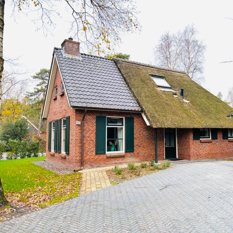 BUNGALOW 6 personnes - Stuifzand Wellness Outdoor Bungalow Deluxe avec Bedstee | 6+2 personnes