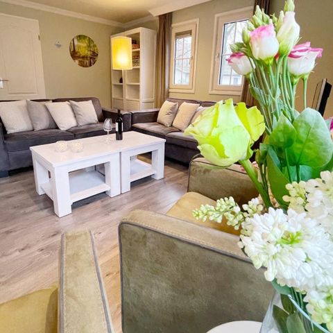 CHALET 6 personnes - Dotterbloem